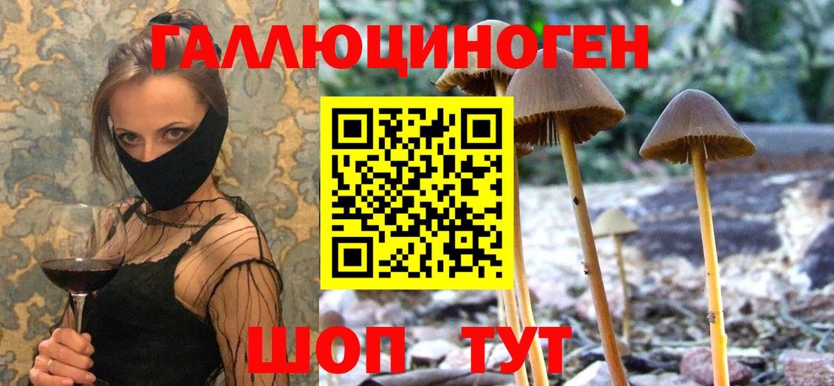цены   Псилоцибиновые грибы прущие грибы  Вход с VPN  Кыштым 