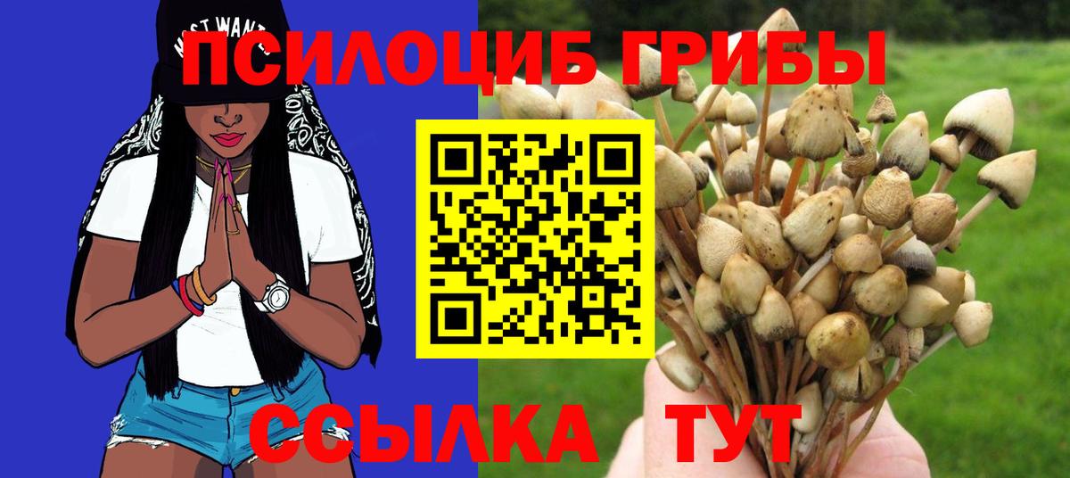 Псилоцибиновые грибы Psilocybe Кыштым