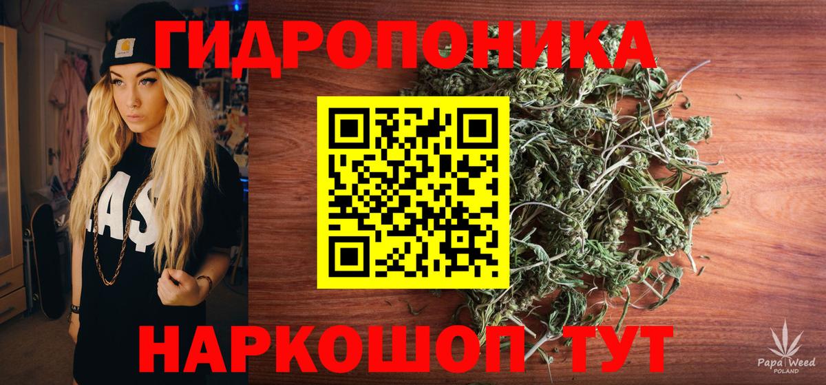 Бошки Шишки планчик Кыштым